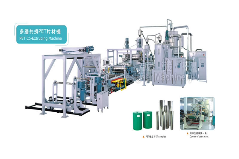 ฟิล์ม coextrusion หลาย PET